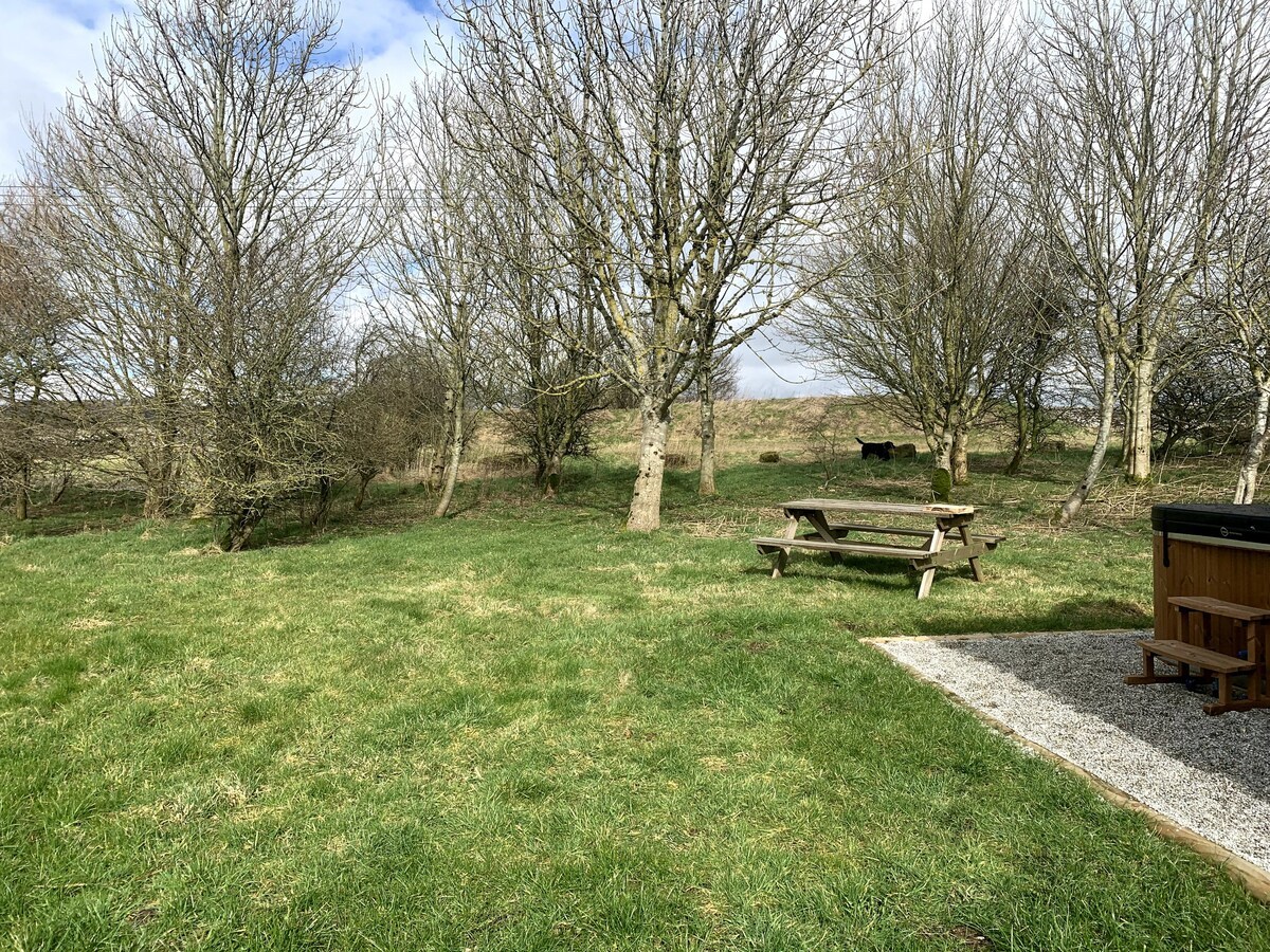 Robin's Nest Glamping Cabin in the Peak District Robin's Nest Glamping Cabin in the Peak District